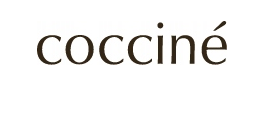 Odświeżacz do butów 4X COCCINE NANO SILVER 600 ml
